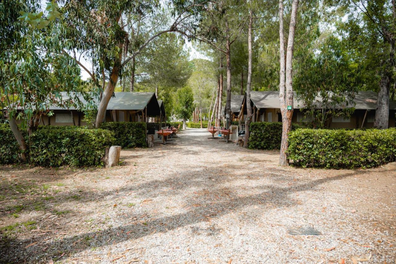 Glamping At Elba
